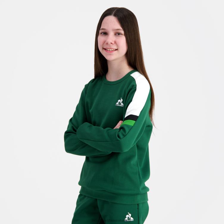 Clothing HVDBF392 Children Le Coq Sportif Sweatshirt Green