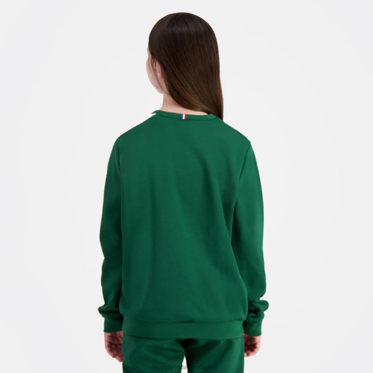 Clothing HVDBF392 Children Le Coq Sportif Sweatshirt Green