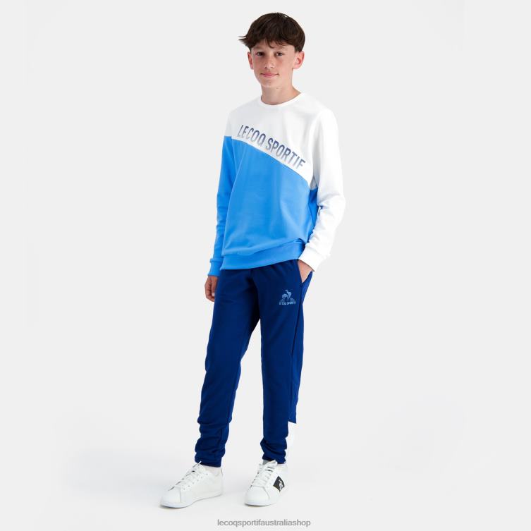 Clothing HVDBF396 Children Le Coq Sportif Sweatshirt Blue