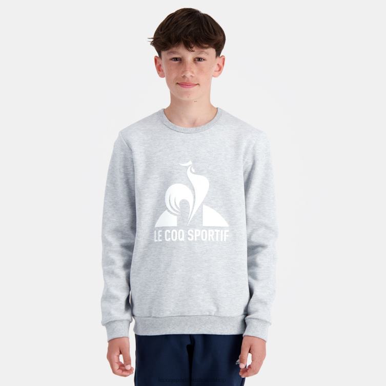 Clothing HVDBF397 Children Le Coq Sportif Sweatshirt Grey