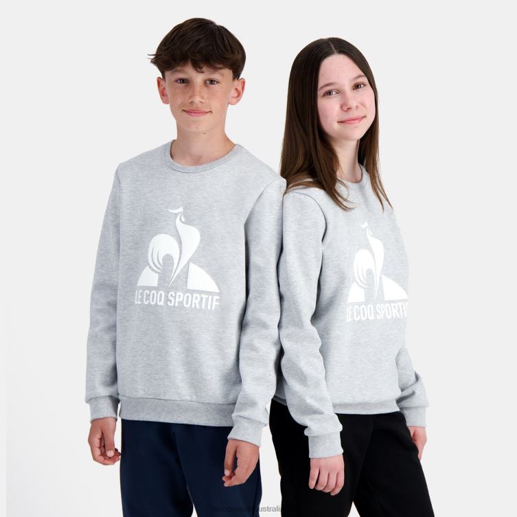 Clothing HVDBF397 Children Le Coq Sportif Sweatshirt Grey