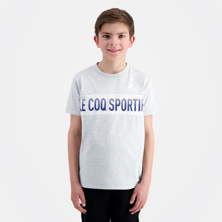 Clothing HVDBF378 Children Le Coq Sportif T-Shirt Grey