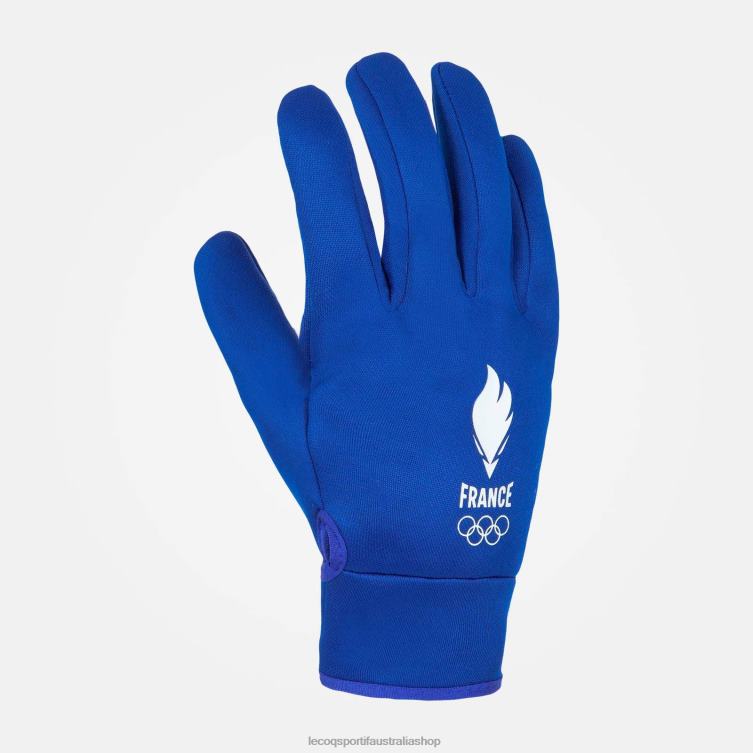 Accessories HVDBF711 Men Le Coq Sportif Gloves Blue