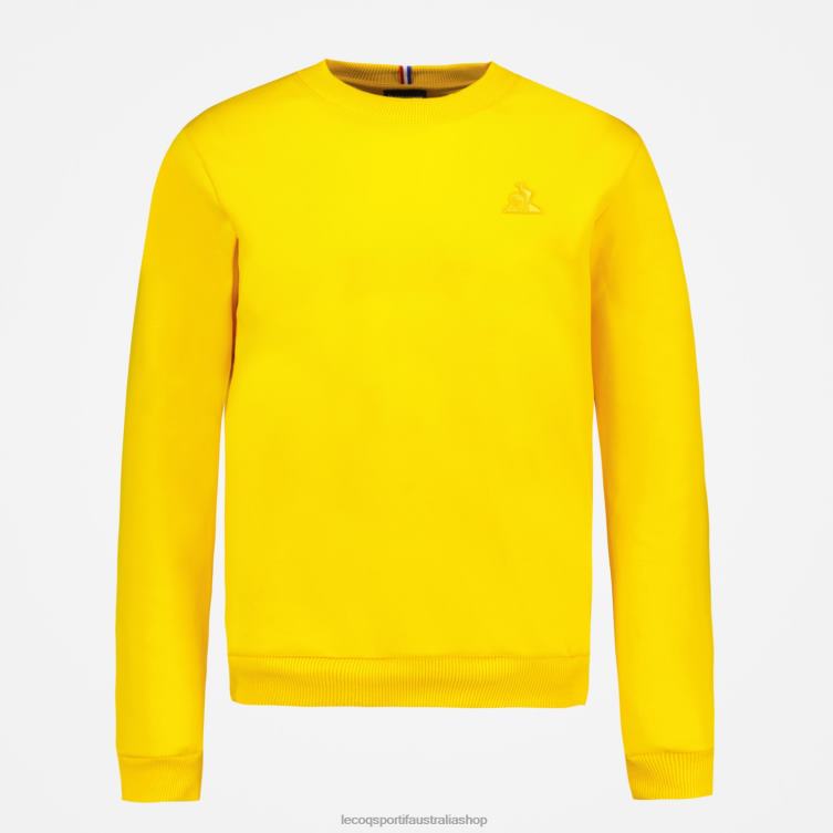 Clothing HVDBF464 Men Le Coq Sportif Sweatshirt Yellow